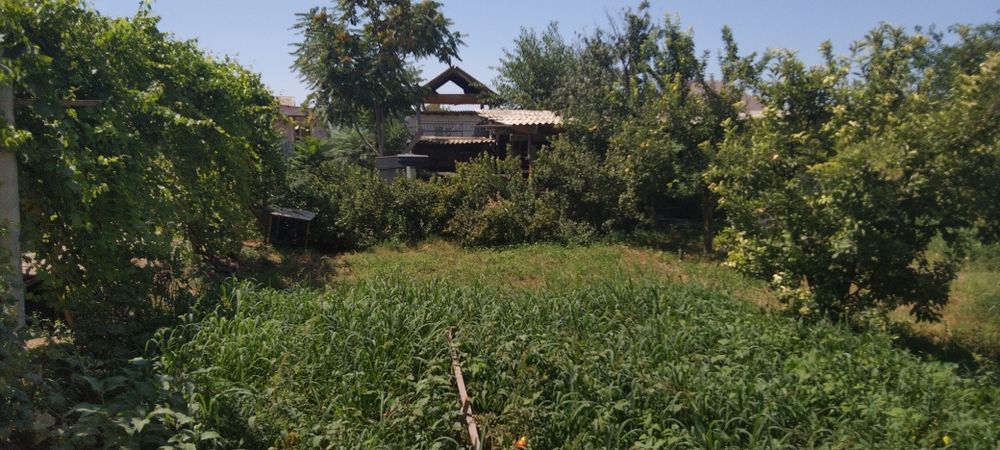 Сатыладыыыыыыыыыыы