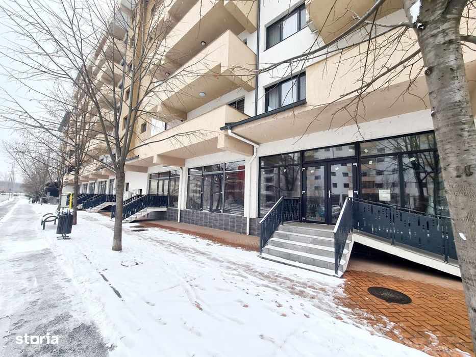 Spatii de vanzare / Dem Radulescu