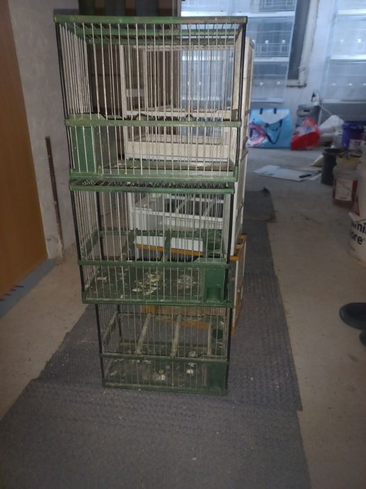 Colivii c2  de cântec