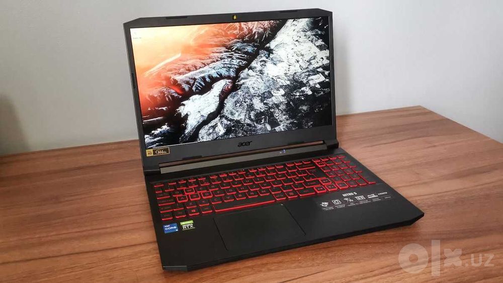 acer nitro 5 AN515-55.