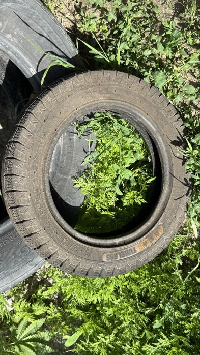 Шины мопеда продам не дорого