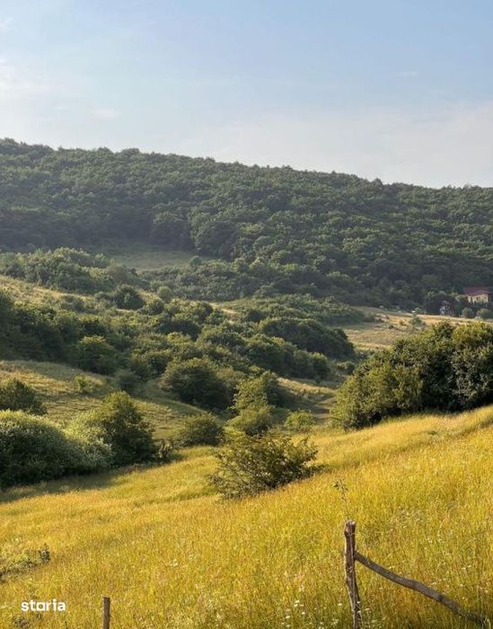 Teren 4000mp, Valea Sanaslaului