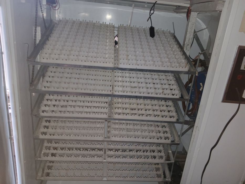 Inkubator aparati 1056 talik