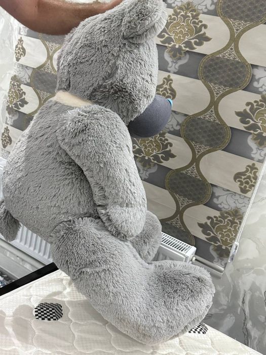 Teddy 60 sm. yangi