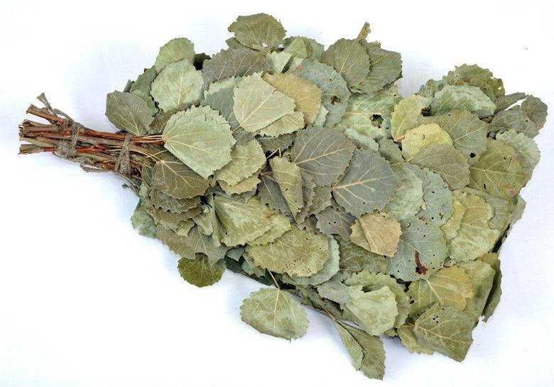 Веник банный осиновый