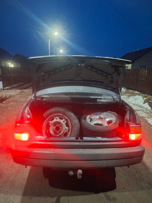 Продам живого пассата