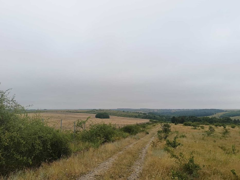 Vand teren in locatie ideala