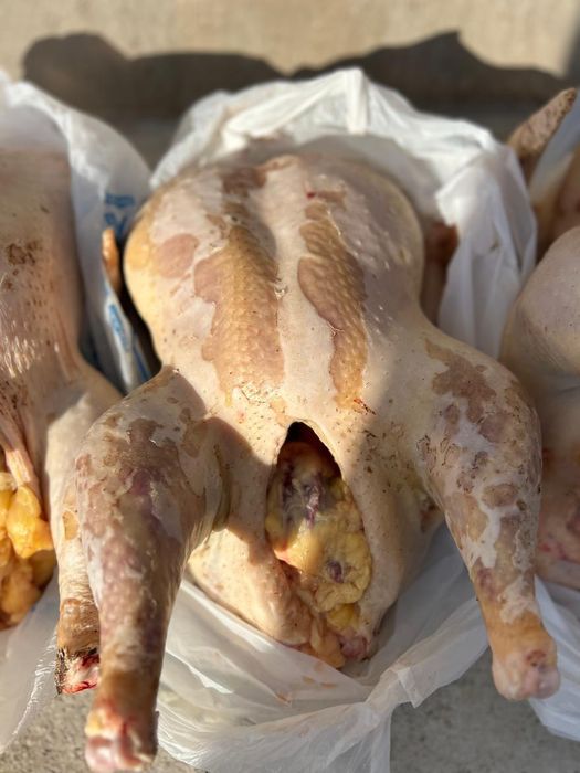 мясо индеек . индюк еті