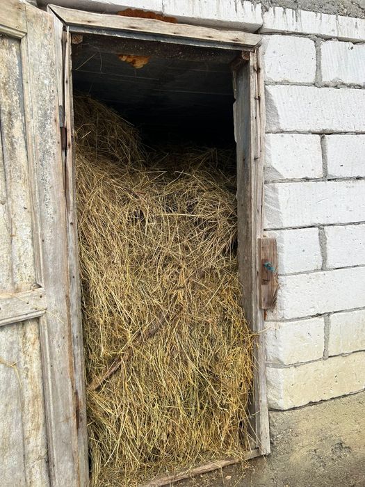 Fân amestecat cu lucernă – peste 4 tone