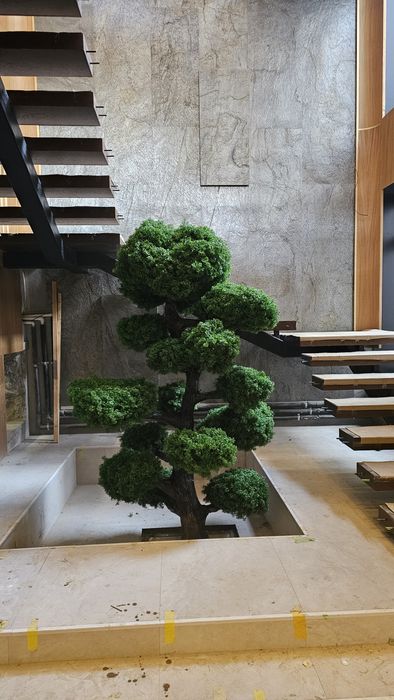 Дерева хар хил йасаб берамиз