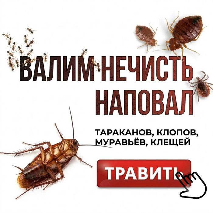 Дезинфекция с гарантией | Dezinfeksiya klopa