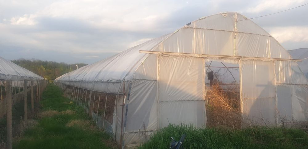 vând solarii. 6mx50m