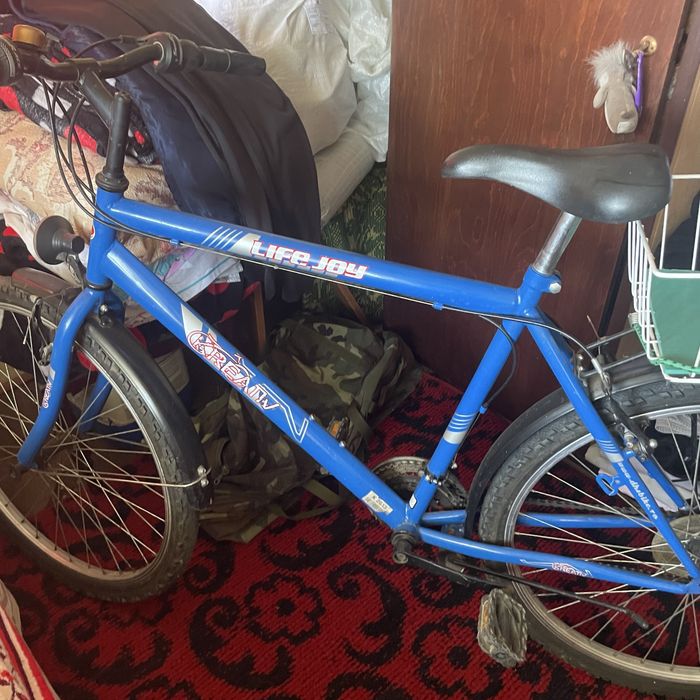 Bicicleta adulti