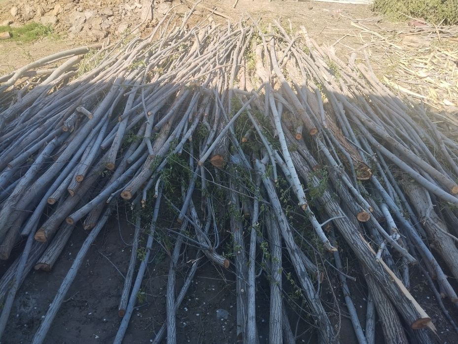 Совит хадалари сотилади ириси 25 мингдан медаси 15 мингдан