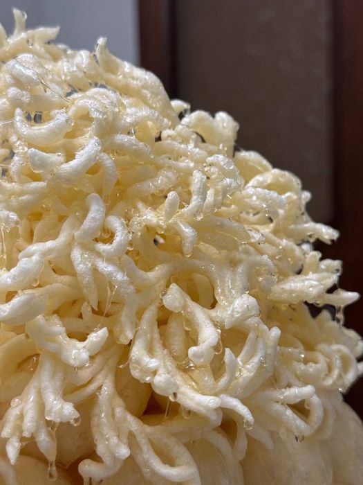 Чак чаклар шокона чак чак гаже чак чак