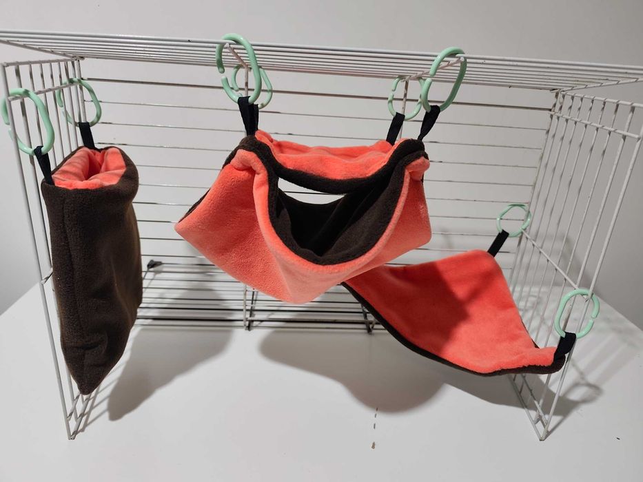 Захарна летяща катеричка