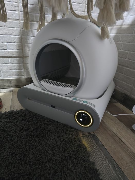 Litiera automata Ihunt