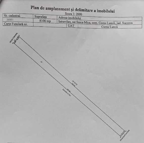 8100 mp teren intravilan Sasca Mica Com. Cornu Luncii