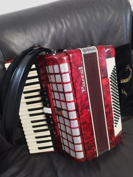 Vând acordeon parrot sau schimb