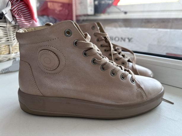 ecco olx