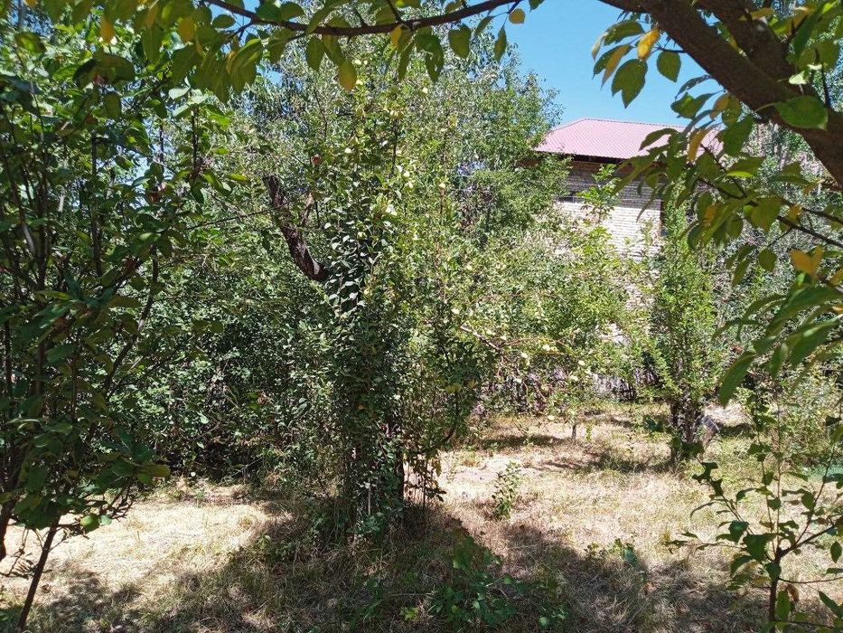 Продается участок с домом в Чимгане!