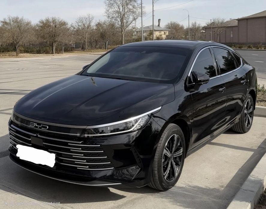 BYD Chazor 2024