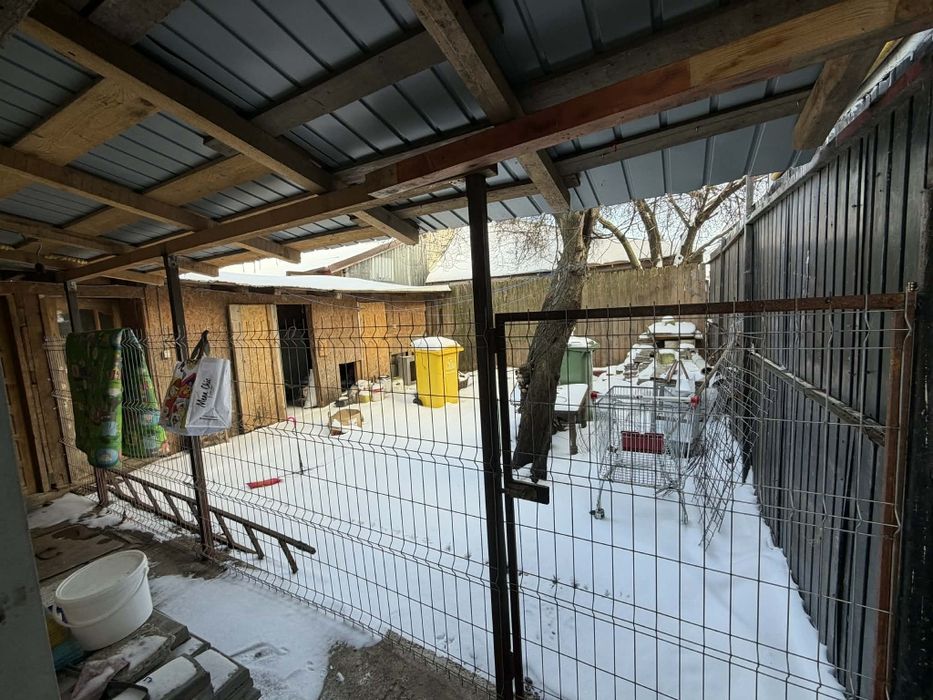 Casa de inchiriat baia sprie nr 13