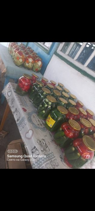 Мариную огурцы помидоры и т.д