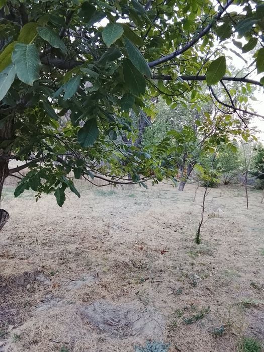 Үй сатылады Бәйдібек ауданы Ақбастау ауылы