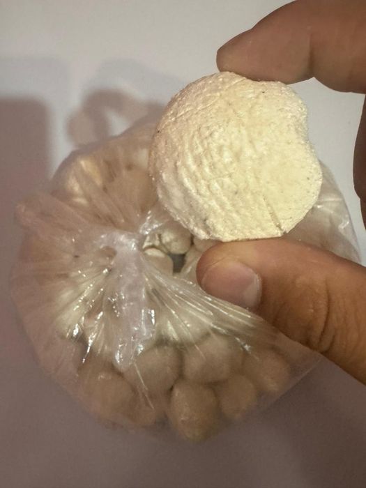 Продам курт домашние