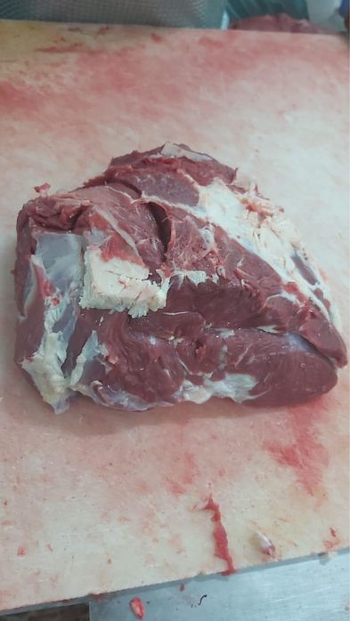 ПРОДАЕМ ТОЛЬКО ОПТОМ! Мясо говядины разных сортов