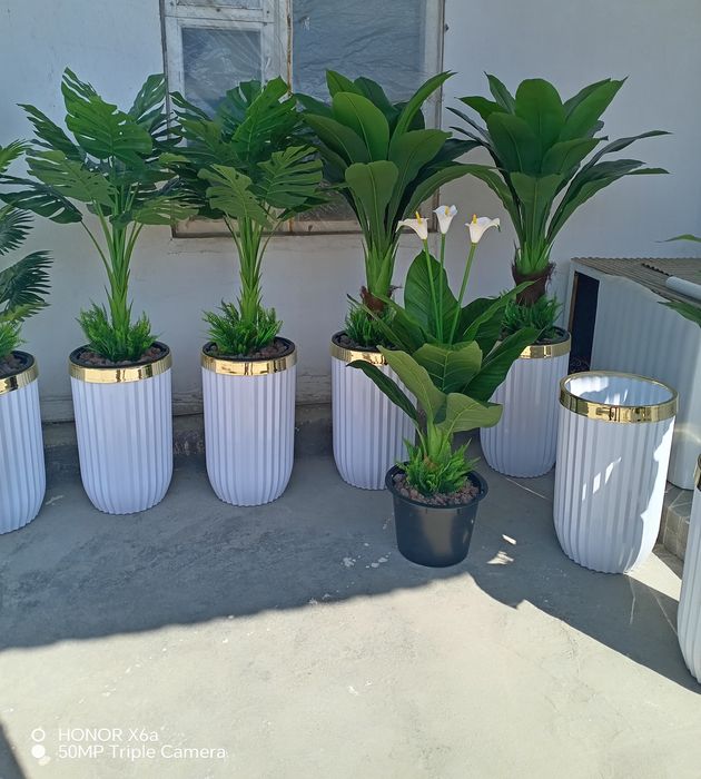 Сунний декор гуллар оптом нархларда.Навои шахар.