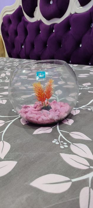 Аквариум новый мини