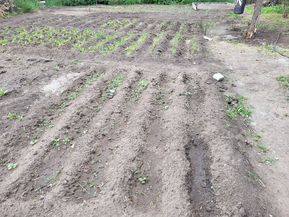 Продам дачу 8 соток