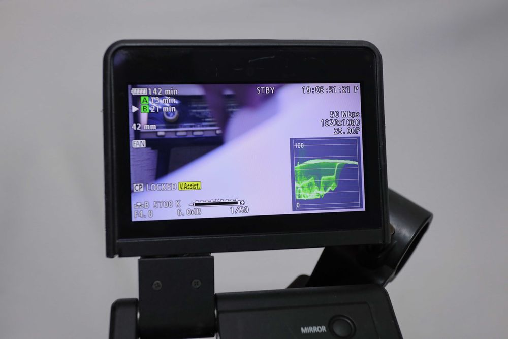 Камера Canon EOS C300