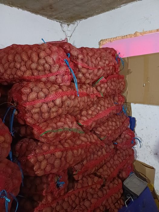 Vând sămânță cartofi