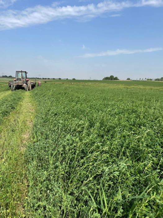 Beda pres sotiladi… Toshkent viloyati Boka tumani