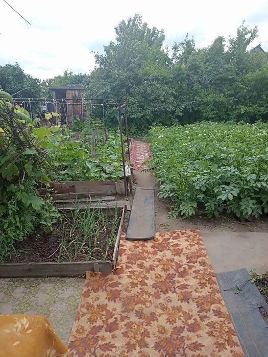 Продам Дачу СРОЧНО