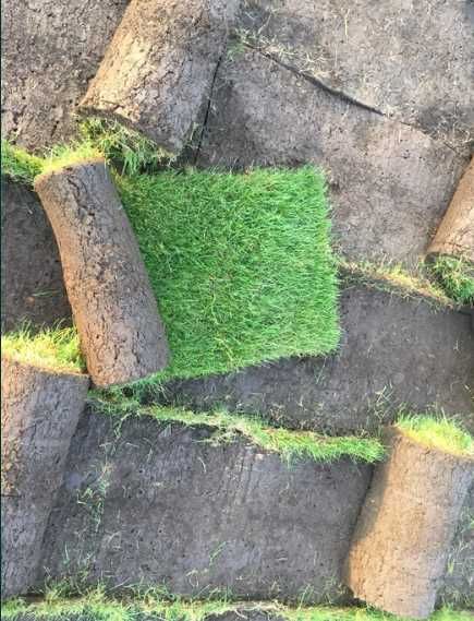 Gazon Rulou Verde Intens – Teren Nivelat și Irigare Modernă