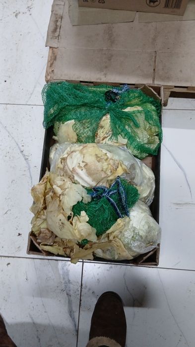 Корм для животных