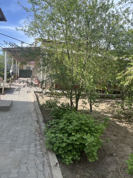 Нокис каласы Шымбай Шайханада жай сатылады