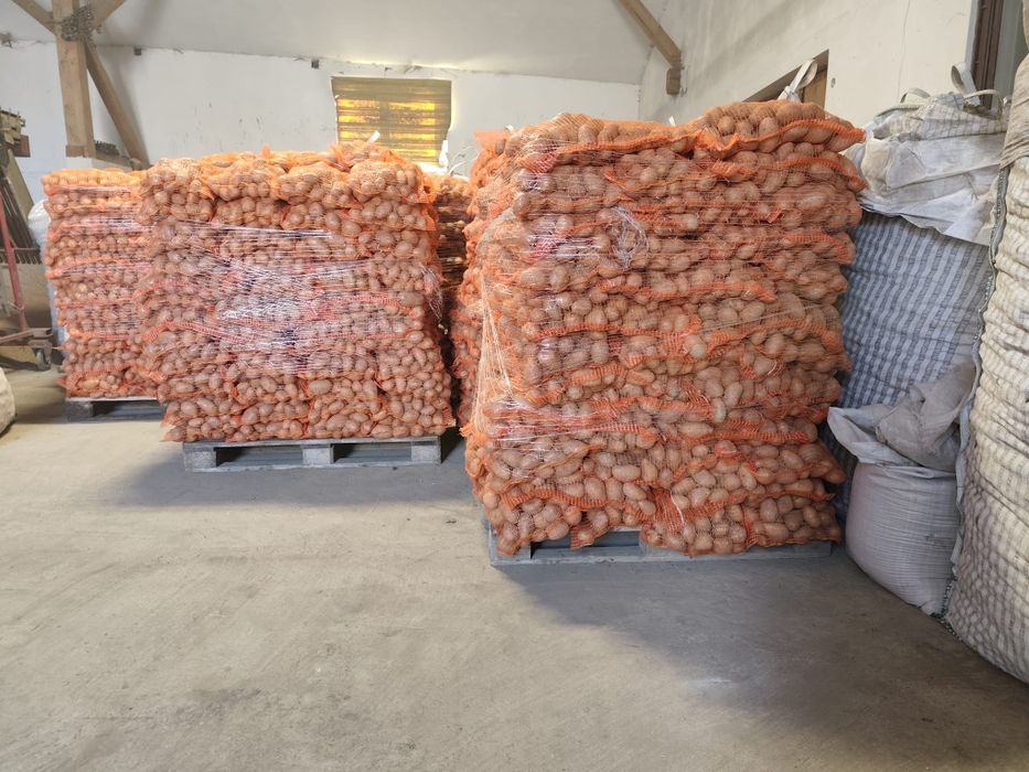 Cartofi de consum Paradiso