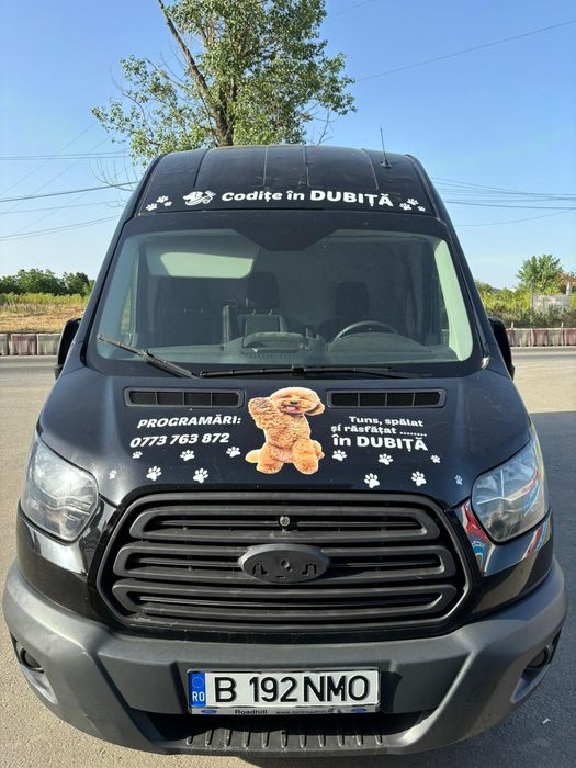 Frizerie canina mobila în fața casei tale