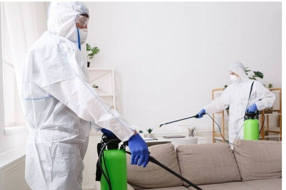 Дезинфекция дератизация