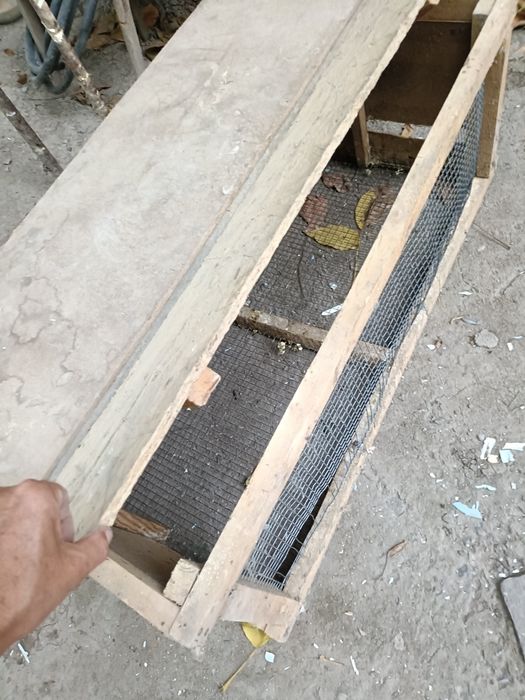 Ящик для перепелов