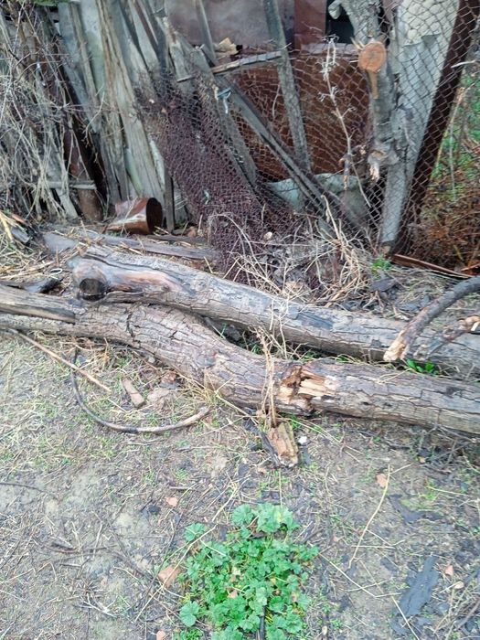 Продаю дрова в хорошем состоянии