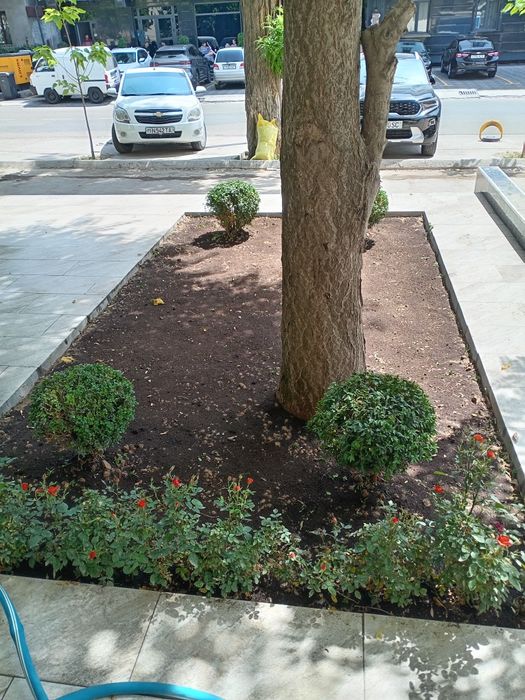 Yer haydash va chopish.  24/7