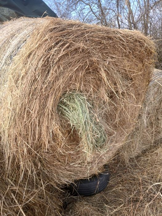 Vand baloti  fan si luterna