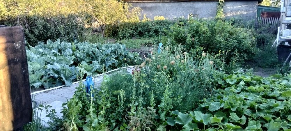 Продаю дом на правом берегу
