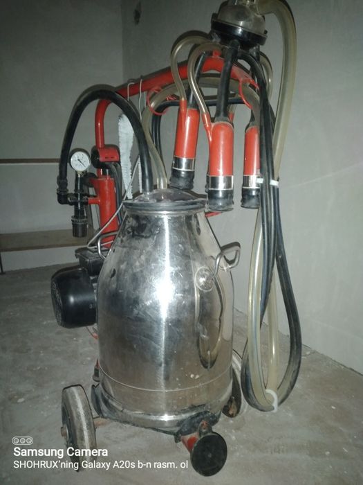 Garantiyasi bor hdhdkdjdndbdbdb